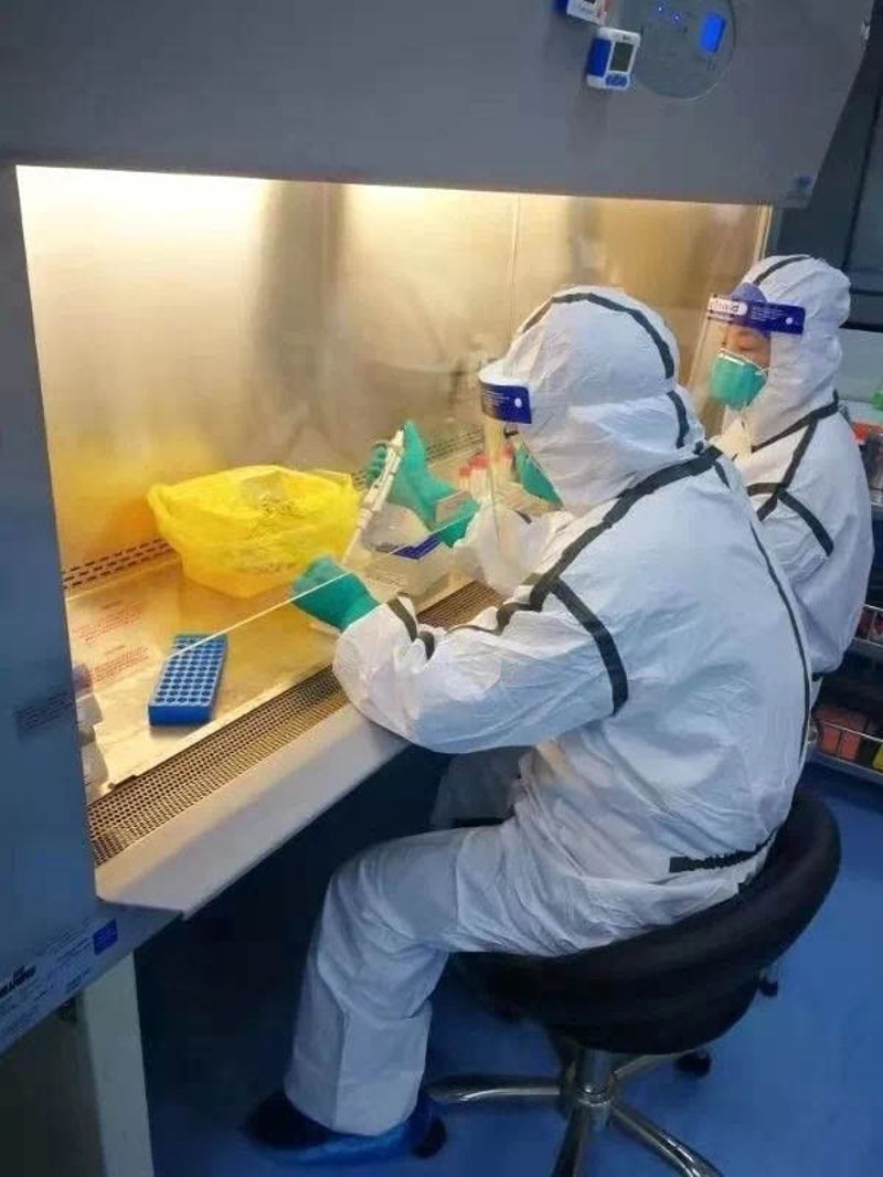 这个实验室担负着新冠病毒的核酸检测工作！