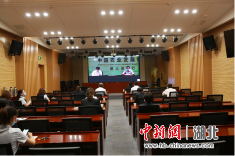 农发行湖北省分行营业部机关员工参加2020年度财会运营基础知识视频培训现场。刘恒摄