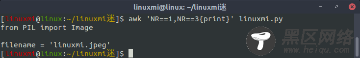 Linux常用命令 awk 入门基础教程