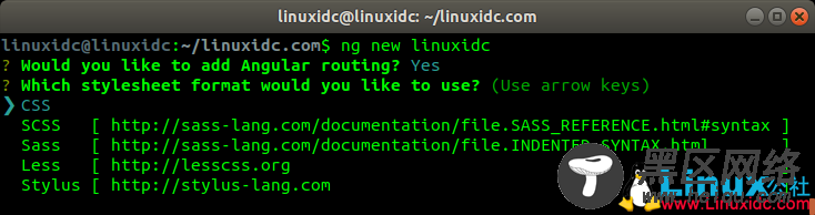 在Ubuntu 18.04上安装Angular