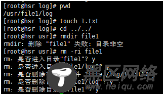 Linux命令：目录重命名与移动mv，删除文件rm，目
