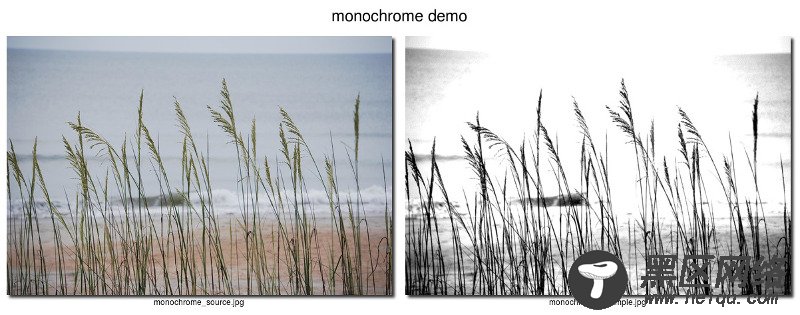 monochrome example