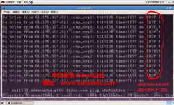VMware Workstation环境中Linux ping返回出现大量“DUP！