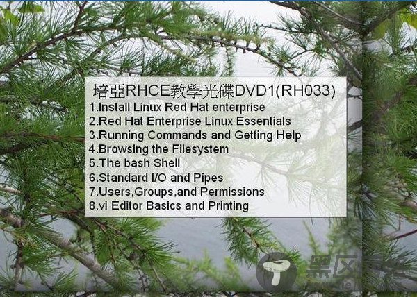 Linux学习视频《培亚RHCE教程 原版DVD》下载
