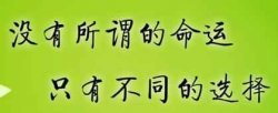 全职创业和兼职创业选择那一个更好呢