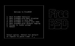 安装freebsd 快竣事的时候报错！！write failure on 