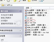 Nero8直接把APE带CUE映像文件刻录CD要领（转帖）