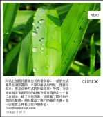 简朴几步让DedeCMS实现LightBox结果