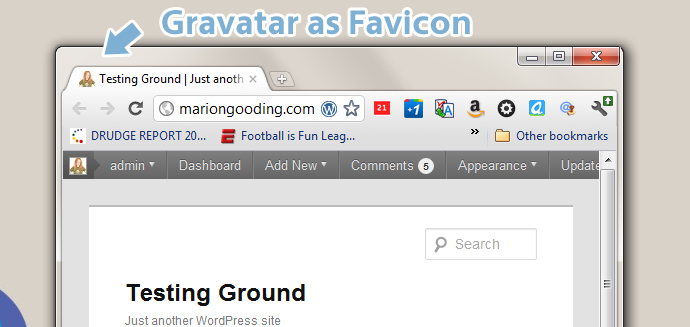 WordPress如何操作你的Gravatar头像作为博客的图标