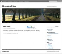 WordPress 3.3 版布景成就失效治理方案