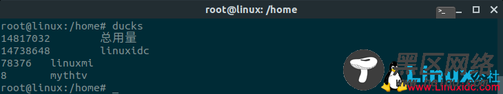 如何在Linux Ubuntu中查找大文件