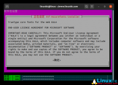如何在基于Ubuntu的Linux发行版安装Microsoft TrueTyp