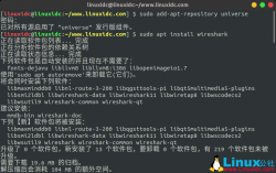 在Ubuntu 18.04 Linux上安装和使用Wireshark