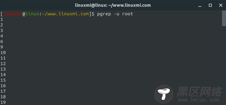 理解Linux中的pgrep命令