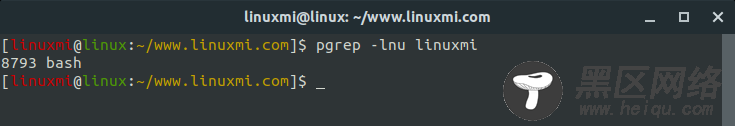 理解Linux中的pgrep命令