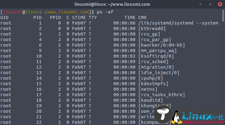 Linux常用命令 ps 入门基础教程