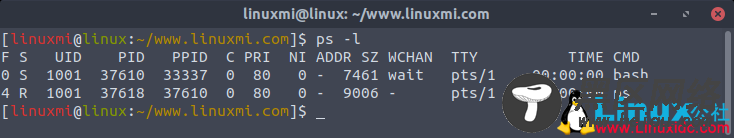 Linux常用命令 ps 入门基础教程