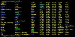 Linux 磁盘与文件系统(EXT2)简介