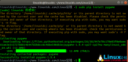 在Ubuntu 18.04 LTS上Python模块pygame安装