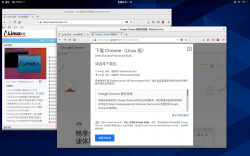 如何在RHEL 8/CentOS 8 Linux中安装Google Chrome