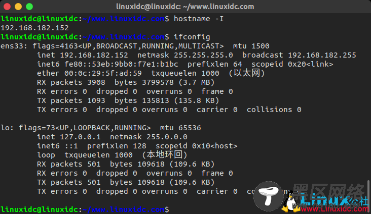 如何在 Linux 中查看 IP 地址