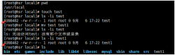 Linux命令：目录重命名与移动mv，删除文件rm，目
