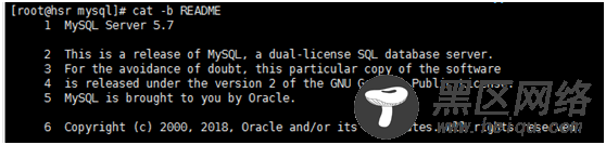 Linux命令：目录重命名与移动mv，删除文件rm，目