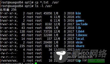 Linux创建文件touch，复制文件cp，tab补全，链接文