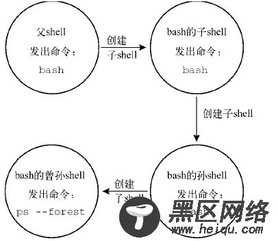 Linux shell类型，shell父子关系，子shell用法