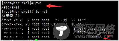 Linux文件权限命令：用户列表passwd，用户控制sh