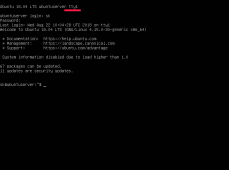 如何在 Linux 中不使用功能键在 TTY 之间切换