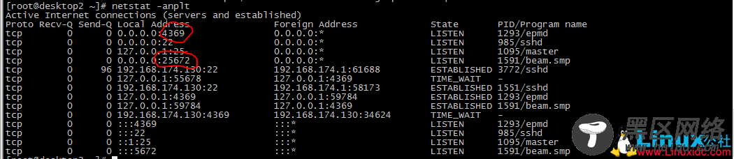 Linux下RabbitMQ查询status报错解决