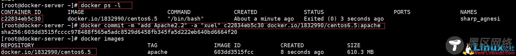 Docker容器超详细讲解