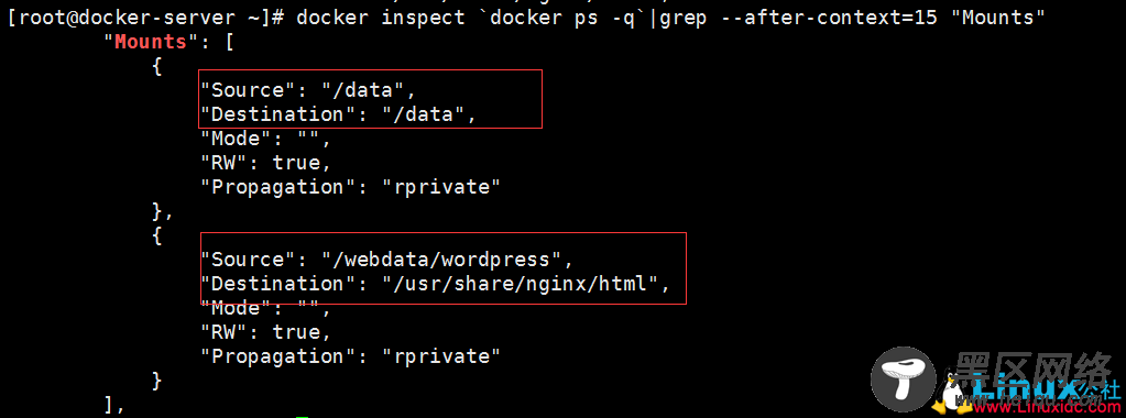 Docker容器超详细讲解
