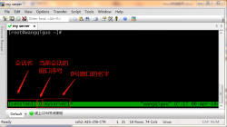 tmux 终端复用详解