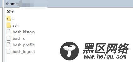 解决SSH登录用户执行的命令部分环境变量参数不