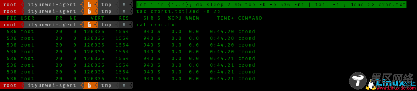 Linux top命令批处理模式讲解