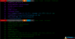 Linux下命令行的彩色终端