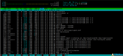 Linux htop命令使用详解