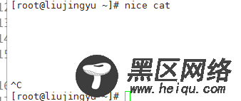 Linux进程管理相关命令详述