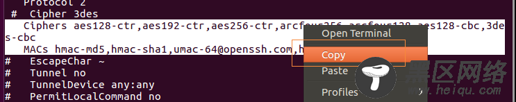 Ubuntu下无法使用SecureCRT连接服务器