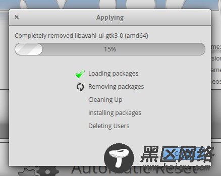 图 5：Resetter 进度窗口