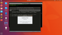 Sublime Text 3的Snap应用可供测试