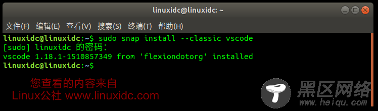 Ubuntu中使用Snap轻松安装Visual Studio Code IDE