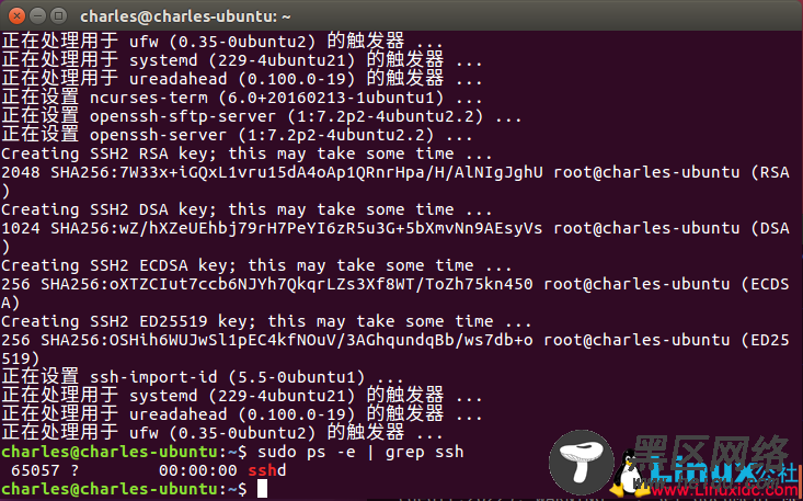 Ubuntu 开启远程登录 SSH 的安装和配置