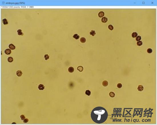 图 4. 用 ImageJ 算出图中的物品数。