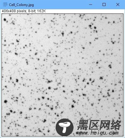 图 2. 案例图片可供学习使用 ImageJ。