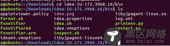 Ubuntu Linux环境下安装IDEA