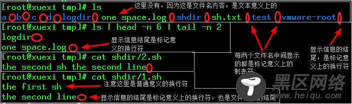 xargs的原理剖析及用法详解