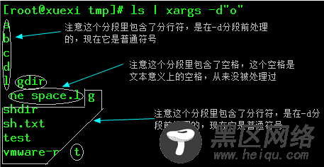 xargs的原理剖析及用法详解